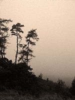 Cawthorn Outcrop by Artist Caireen Harrison