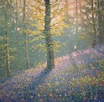 Sunlight and Bluebells by Artist James Preston