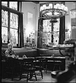 Pub Life 2 by Artist Philippe Ruttens