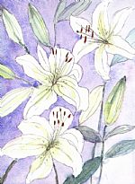 Lillies by Artist Susan Davidson
