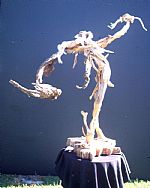 The Magician by Artist Simon Temblett