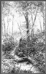 sunshine by Artist Lothar Zhou