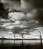 Moods of Tasmania by Artist Piotr Kuc