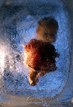 Baby love by Artist Helena Aschbacher