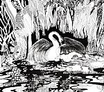 leda and swan detail by Artist Jacqueline Read-Szymczyk