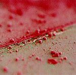 Green and Pink by Artist Sarah Davidson