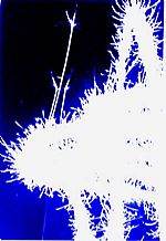 Riverdeepmountainhigh by Artist Leo Saunders