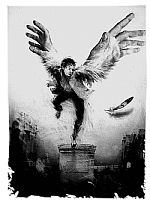 Learning Flight 1 by Artist Andrzej  Jarodzki