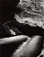 Cycle by Artist Nicky Willcock