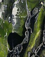 Nemhain III by Artist Ron Cashmore