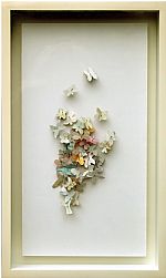 Arrested by Artist Sandra  Von Haselberg