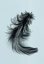 Untitled by Artist Carole  Desbois