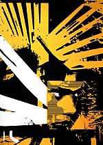 Punk in Black, White and fluorescent Orange by Artist Colin Chan