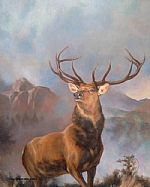 Monarch of the Glen by Artist Charlie Parker