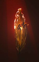 The Transience of Idolatry by Artist Mathias Pfaff