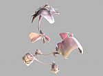 New Orchid by Artist Kit Lawson