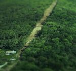 Here by Artist Paul Laidler