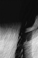 Untitled I by Artist Marc Christmas