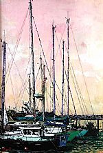 Giulianova il porto by Artist Giuseppe Sebastiano Devoti