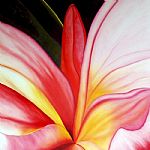 Erotic Frangipani / Inner Beauty by Artist Peter Heuscher