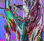 "J blow" by Artist JC Tower