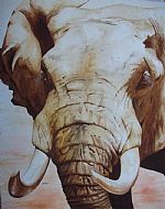 Elephant by Artist Jane Barnes