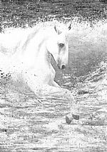 White Horses by Artist Kelly Hood