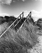 Findhorn by Artist Ailsa Robertson