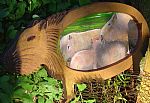 Capibara family by Artist Peter Humphries