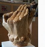 Helping Hand by Artist Jenny Jones