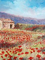 poppies 3 by Artist Zoe Webster