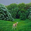 Escape to the Country