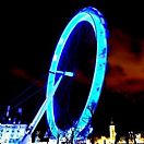 Contemporary Landscape